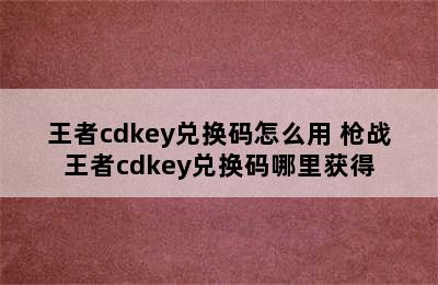 王者cdkey兑换码怎么用 枪战王者cdkey兑换码哪里获得